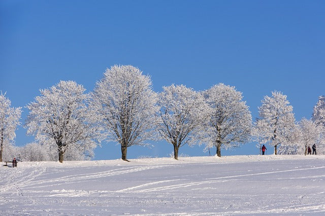 Energigivande träning innan Jul
